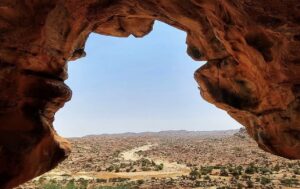 State of Community Conservation